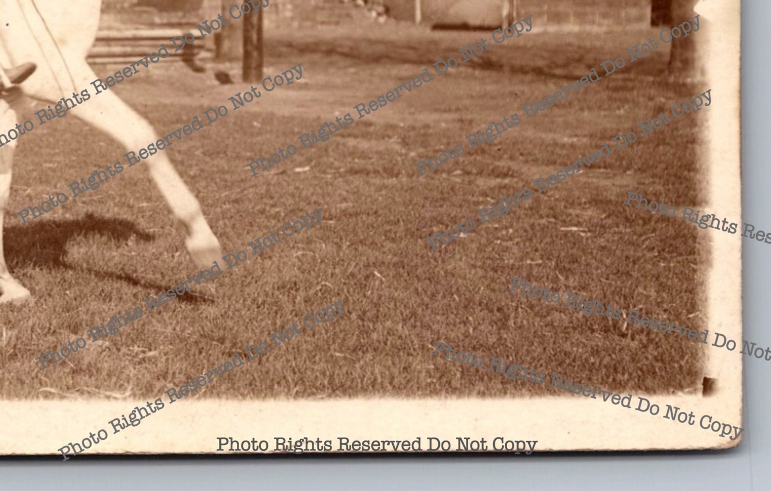 Antique RPPC man riding horse in park Real Photo Postcard 