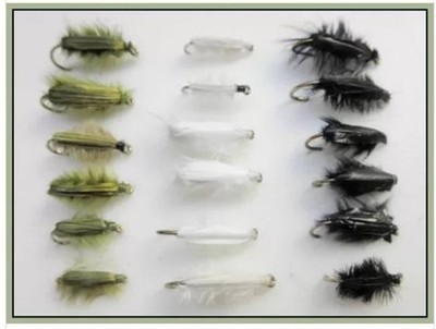 Chompers, 18 Chompers Nymphenfischen Fliegen, schwarz, weiß und oliv gemischt 10.12.14