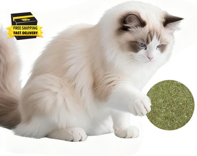 Catnip Balls for Cats - 2 Inches Diameter Catnip Ball, Interactive Cat Toy for I