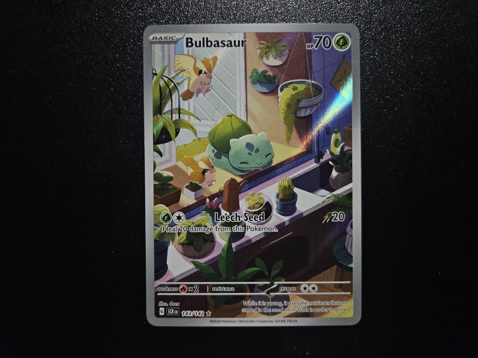 Pokémon TCG Bulbasaur 143/142 Illustration Rare Holo Stellar Crown (2024)