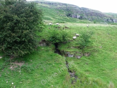Foto 6x4 Hillside Spring, Campsie Fells Balgrochan\/NS6278 Die Geburt von c2010