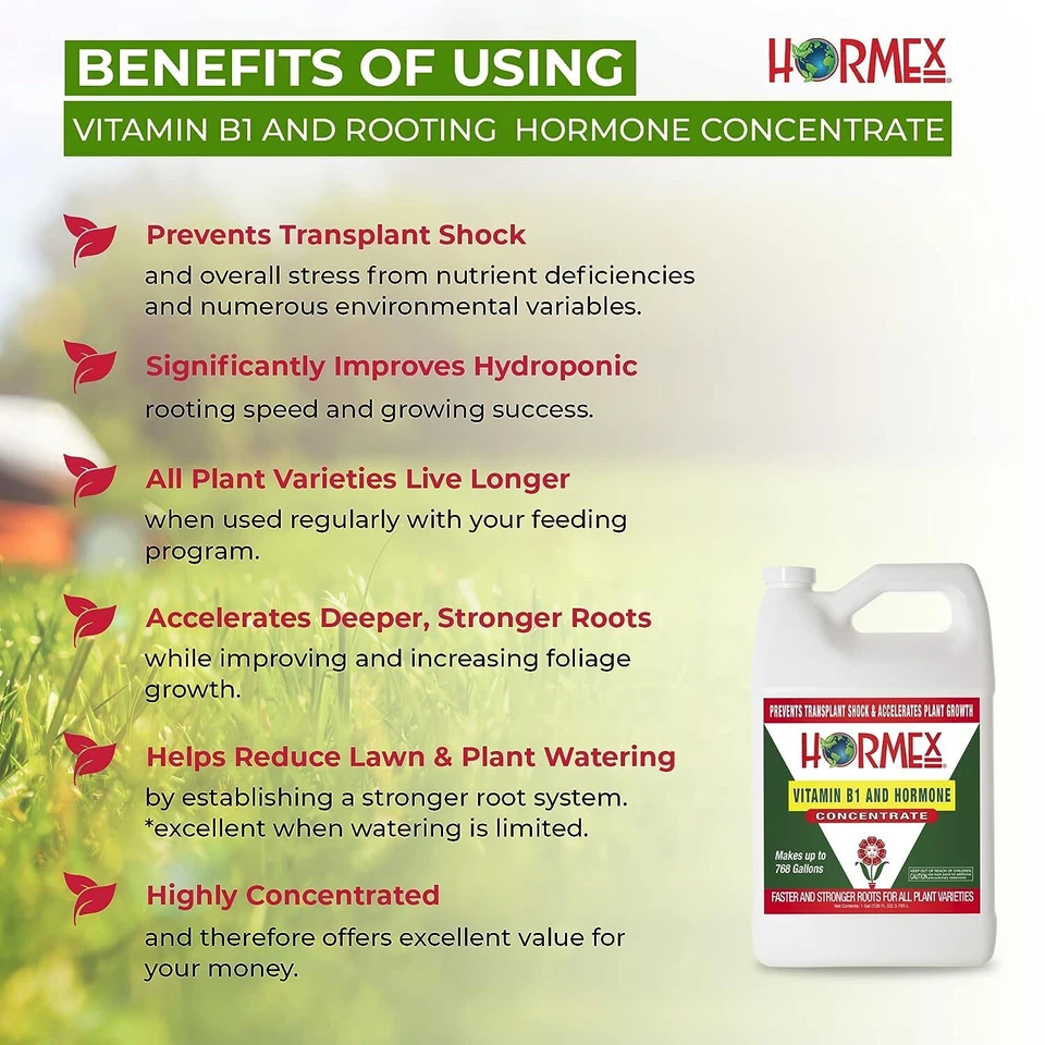 Hormex Vitamina B1 y Hormona de Enraizamiento Concentrado - Maximizar el Crecimiento y la Salud de las Plantas Foto 2 de 4