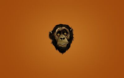 Anime Animal Monkey  Gaming Mat Desk 1058