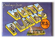 Greetings from White Plains New York FRIDGE MAGNET travel souvenir