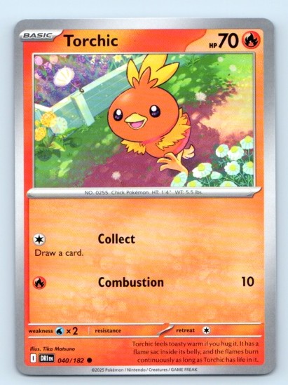 Torchic 040/182 ~ Common English Near Mint