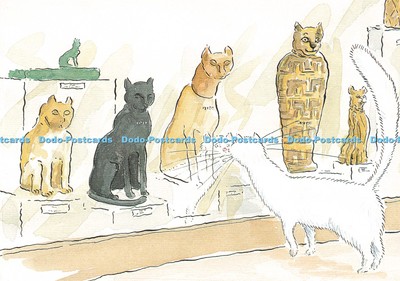 D247282 Wer steckte all diese Katzen in Glaskästen British Museum Sally Craddock Co