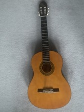 Valencia Cg-160- Classical Spanish Acustic Guitar With Soft Carry Case Bag