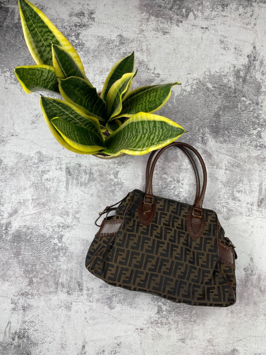 Fendi Roma Ethnico Zucca Canvas Monogram FF Brown Women's Hand