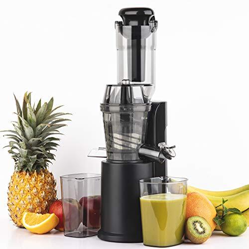 Extracteur de jus compact premium en inox avec système de pression lente durable