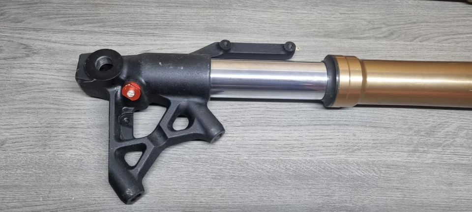 HORQUILLAS SUSPENSIÓN DELANTERA TRIUMPH SPEED TRIPLE 1050 2011-2016 Foto 2 de 4