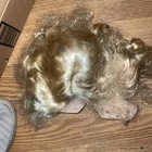 Foto 6 di 6