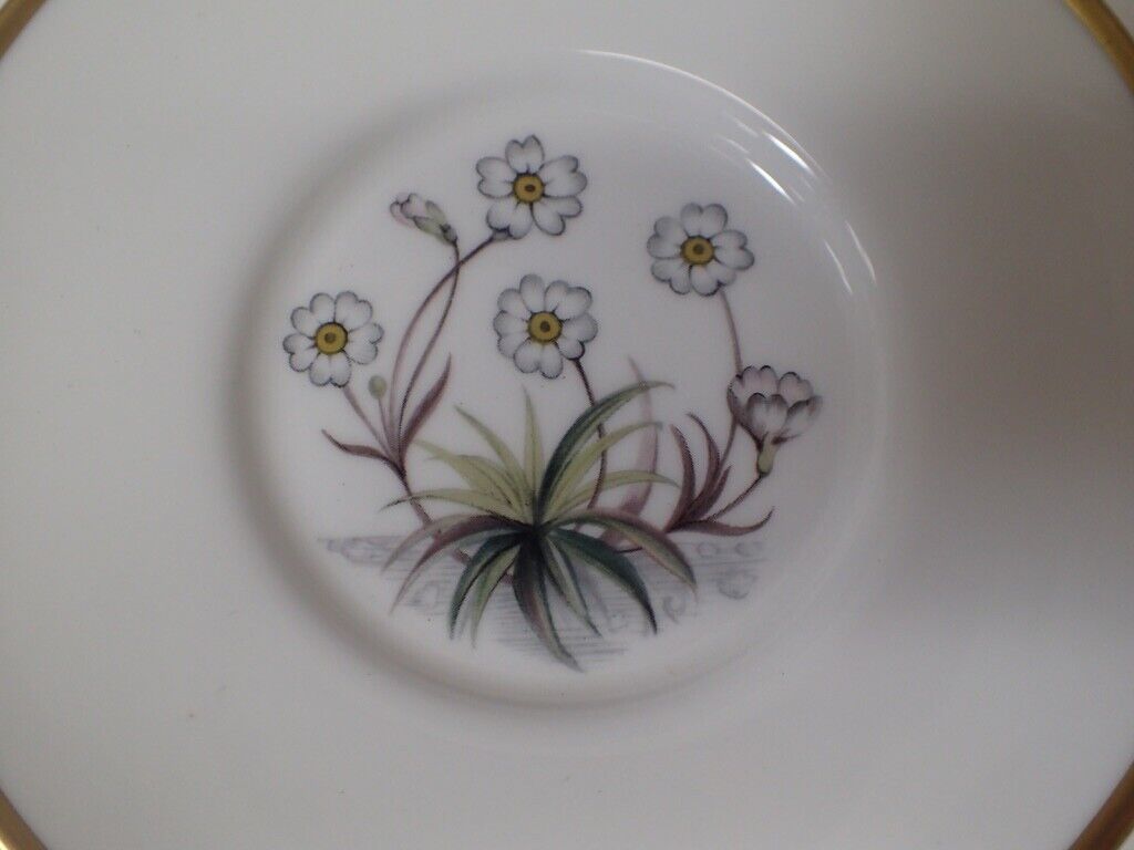 Picture 11 of 19