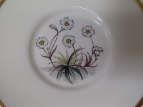 Set of (6) Royal Worcester ALPINE FLOWERS Bone China Demitasse Cups & Saucers - Picture 11 of 19
