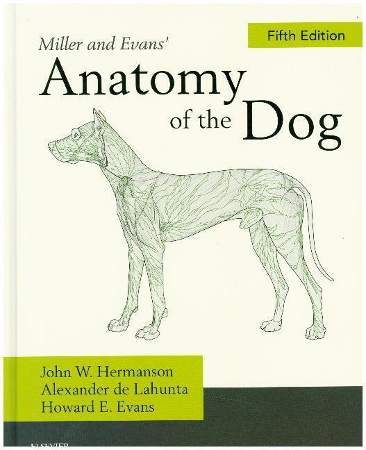 Thumbnail - Miller's Anatomy Of The Dog | Alexander De Lahunta (u. A.) | Englisch