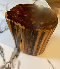 Eastern Red Cedar Display Stump