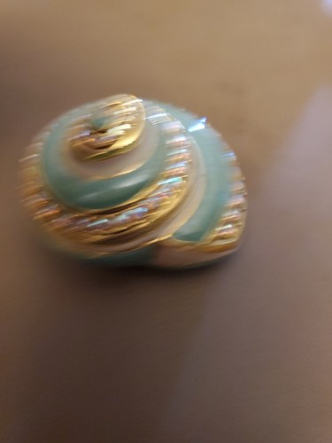 Jay Strongwater Tiered Scallop Shell Trinket Box Seashell Grotto Swarovski - Picture 7 of 17