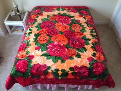 Amazon.com: Solaron Queen Peacock Korean Mink Blanket ...