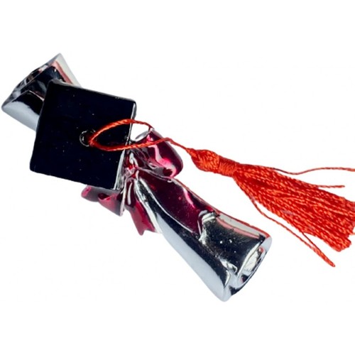Pergamena laurea argentata con fiocco e tocco nero scritta congratulations 7,5 c - Foto 2 di 7