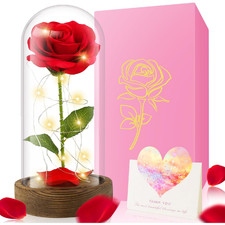 Besworlds Beauty And The Beast Rose Red Silk Rose In Glass Dome Led Light