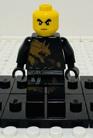 LEGO Ninjago Cole DX 2520 The Golden Weapons Minifigure