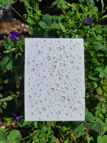 Original ACEO Graphite Drawing – Water Droplets #4 – Shayna Leib – #4/100