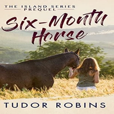 Six-Month Horse A page-turning story of learning and laughing wit