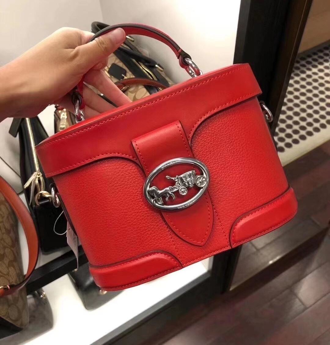 georgie gem coach bag