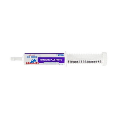 Blue Ribbon Goats Prefer Probiotic Plus Paste 80 cc 1 Count By Merrick