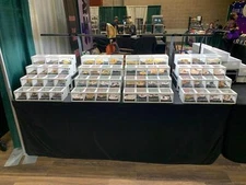 4 tier reptile snake lizard hatchling displays for reptile show vending & case