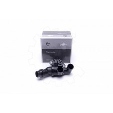 Thermostat Audi TT