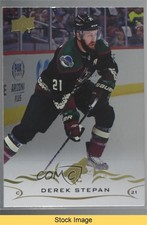 2018-19 Upper Deck Silver Foil Derek Stepan #257 READ ek6