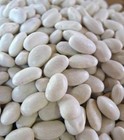 50 Great Northern Bean Seeds - Organically Grown - Free Shipping!