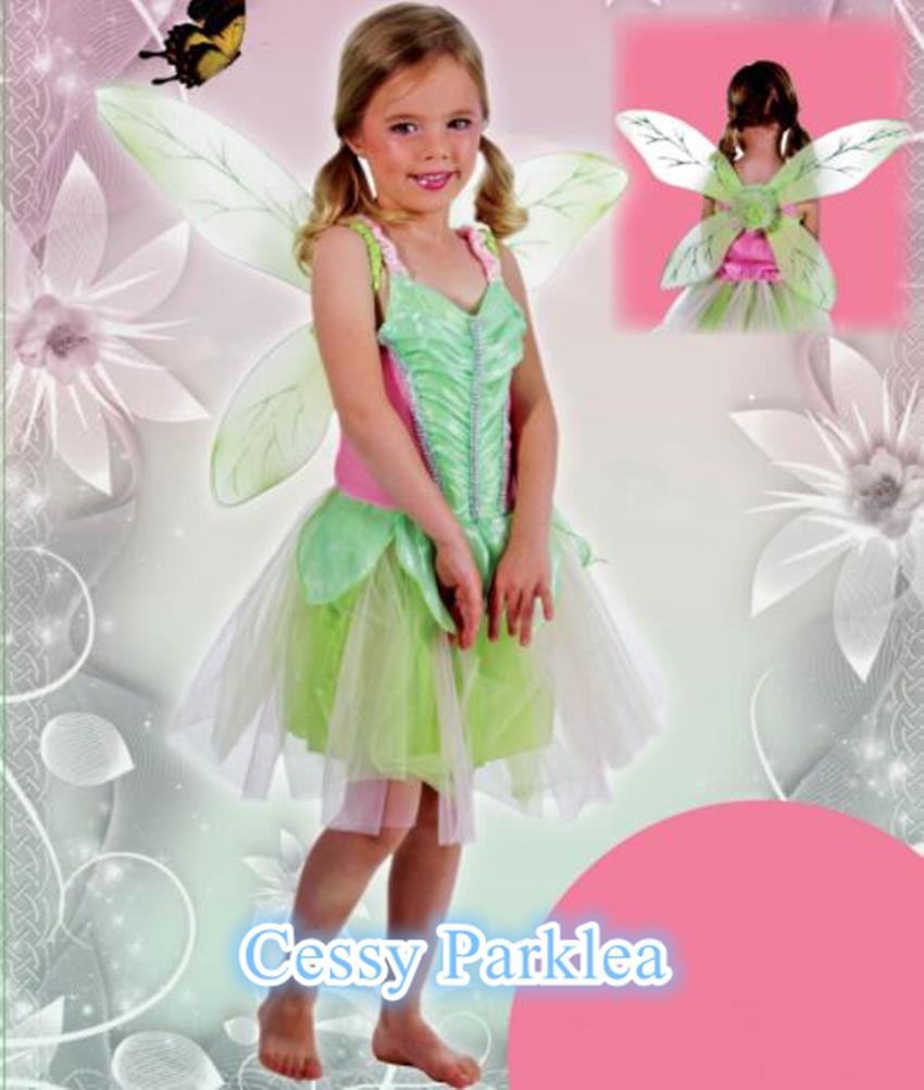 W-M4-1 Tinkerbell Fairy Rescue Fairie Dress Up Child Girl Book Week Costume  | eBay