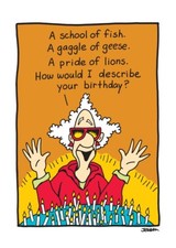 Humor Funny  Just in Time Birthday Card  Her Friend Oatmeal Studios 