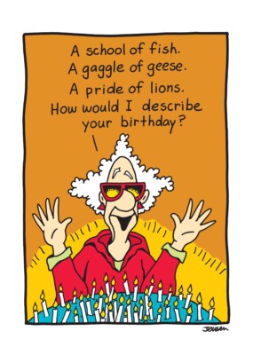 Humor Funny  Just in Time Birthday Card  Her Friend Oatmeal Studios 