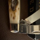 Case XX Amber Bone Mini Trapper Pocketknife 2-Blade Clip & Spey Stainless Steel — photo 2