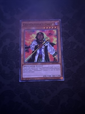 Gravekeeper's Chief - SS01-ENB04 - Common - 1st ed - Yugioh