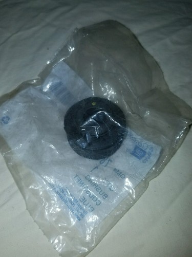 NOS OEM GM BUSHING INNER PIVOT R&P 7834678 FREE SHIP - Bild 2 von 2