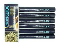 SPIRITUAL INCENSE GUIDE PADMINI 6 PACK. 20 TOTAL 120 INCENSE STICKS + FREE
