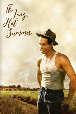 その他 Long Hot Summer (1958) [VHS] 41I3cOJKyzL._AC_UF350,