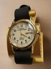 Vtg TIMEX INDIGLO DAY/DATE Expedition WATCH Gold Tone Case Rare Ed. Works