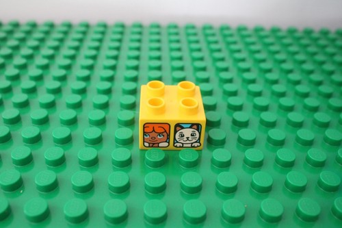 Duplo 2x2 Patrón Impresión Ladrillo U ELIGE UNA SOLA Foto Disney Ojo Globo Presente Abeja - Imagen 6 de 99