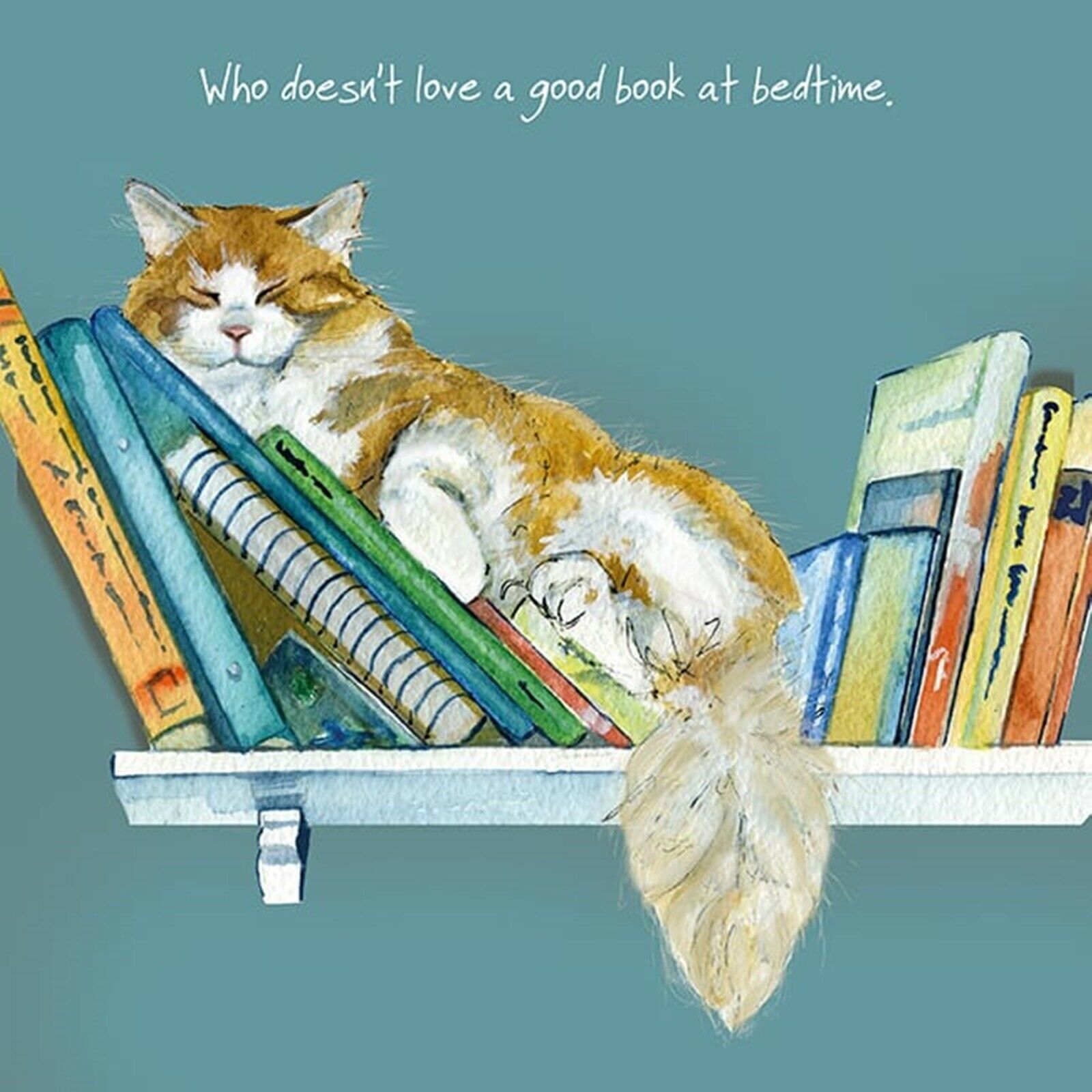 Ginger and White Cat Greeting Card ""Who doesn't like a good book at bedtime""
