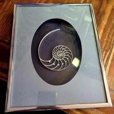 Vtg Nautilus Sliced Seashell Silvertone Metal Shadowbox Frame 8x10 Unsigned 
