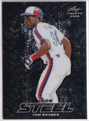 2023 Leaf Trinity Steel Iron Donut Circles Black #S-74 Tim Raines /3