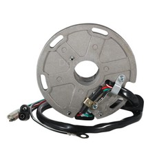 Bobina statore per TM Racing TM85 2002 EN 125/250 01-21 MX 125/250 21-2001 SMX 125