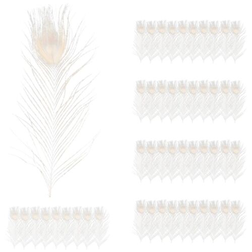 50 ud. / pavos reales blancos naturales plumas en el ojo, 10 a 12 del pavo real 1424 - Imagen 1 de 7