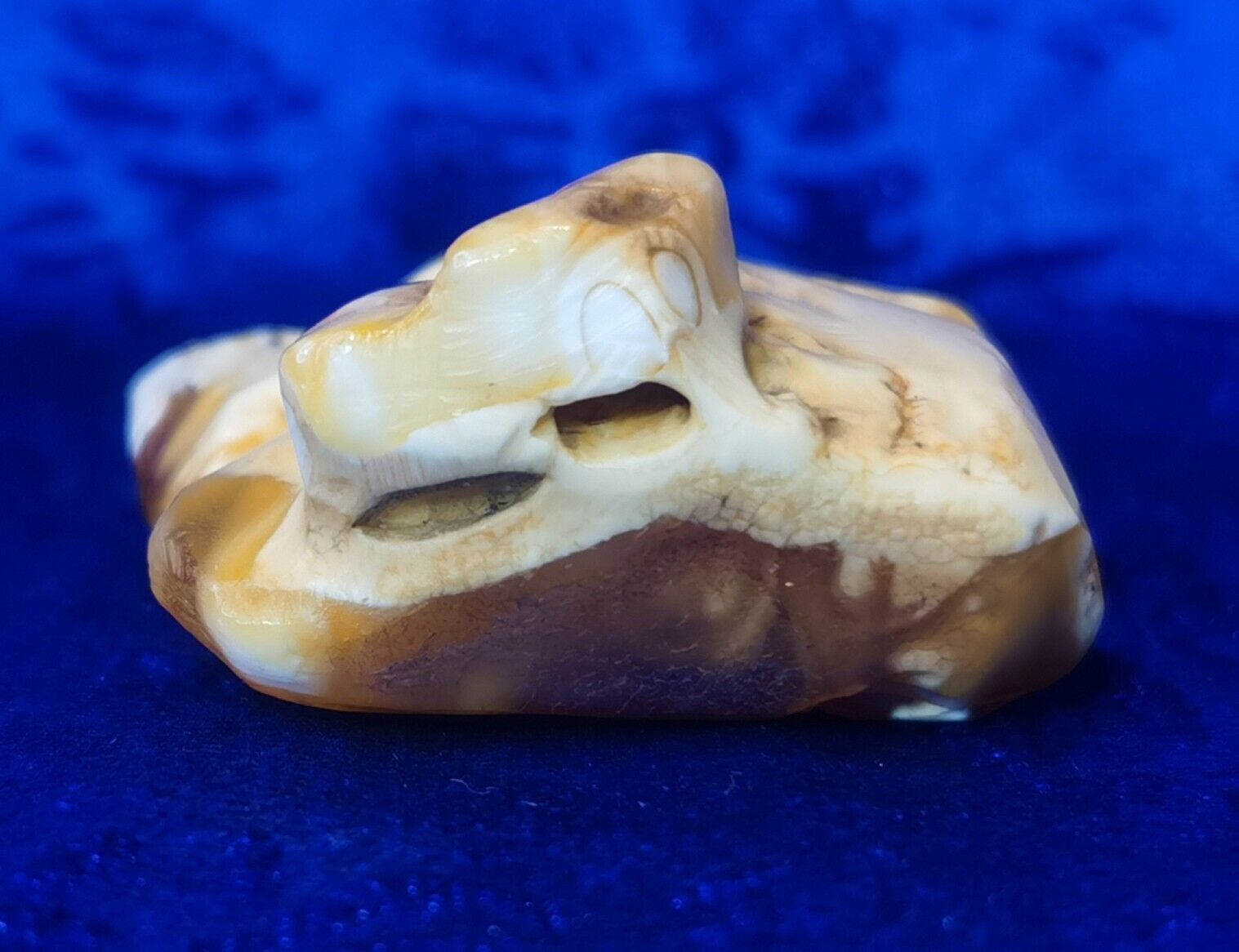 Nice Butterscotch Amber Pendant Natural Polar Bea… - image 5
