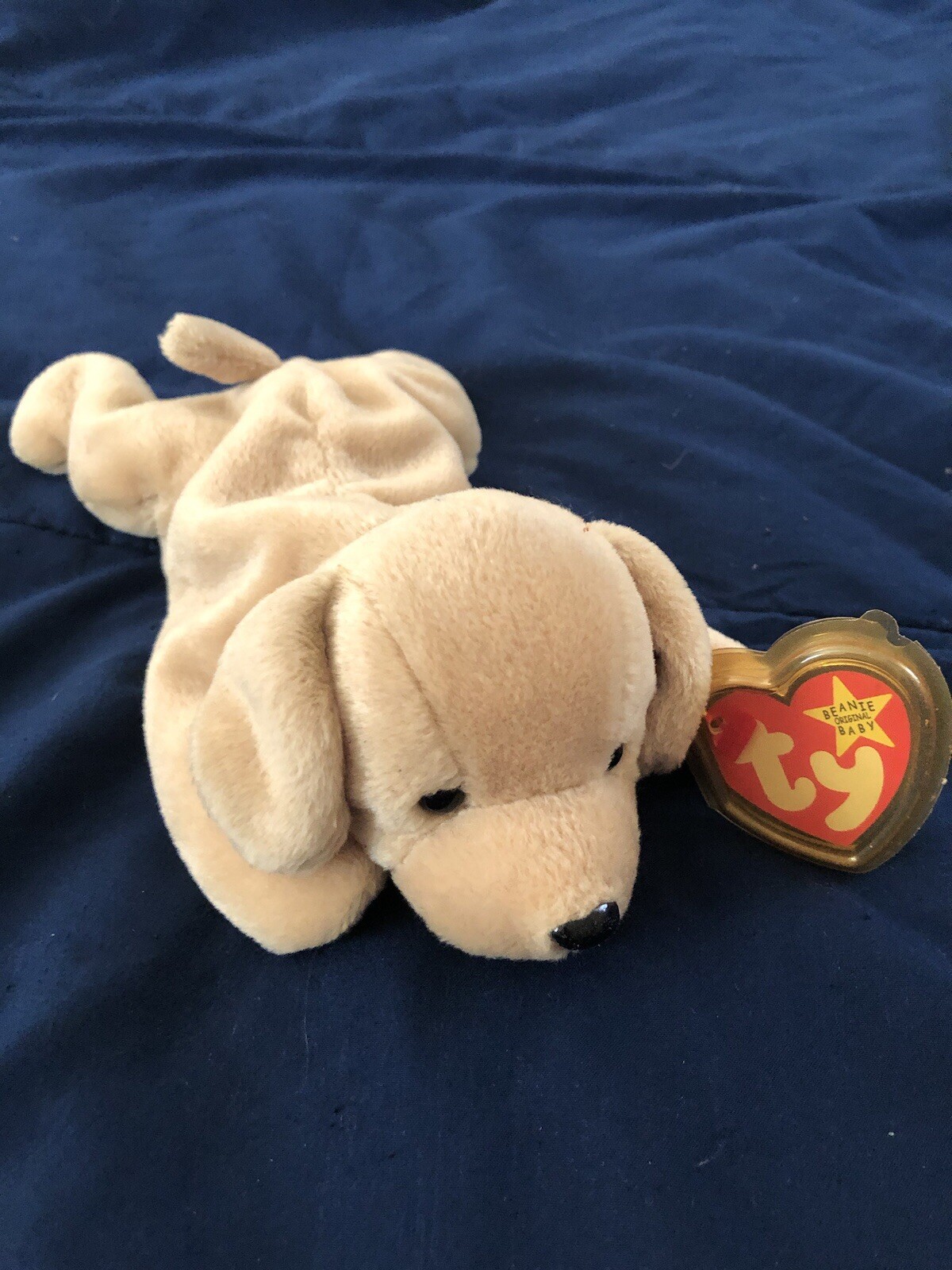 Beanie Baby Fetch The Dog 97/98 Tag Errors Ty Collectible Plush Toy-image