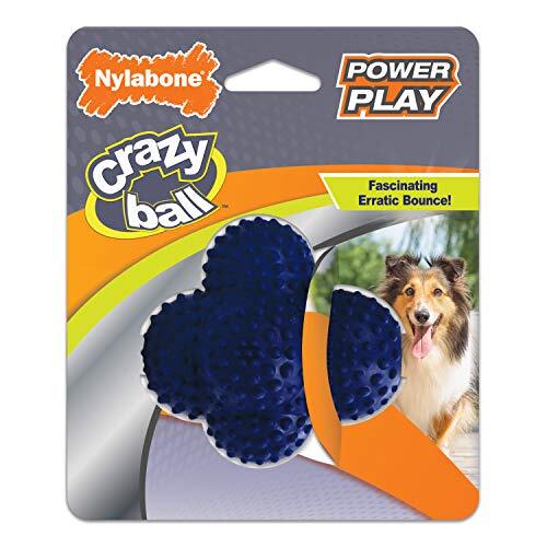 Nylabone Power Play Ball für Hunde Crazy Ball groß (1 Stück) - Bild 1 von 1